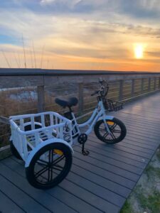 Santa Rosa Beach 3 Wheel tricycle Bike Rentals